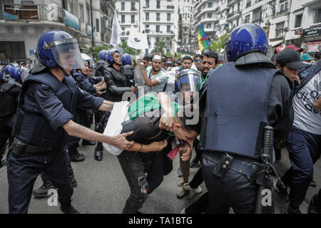 Algiers, Algeria. 21st May, 2019. Algerian students and riot police scuffle during an anti-government demonstration. Algeria's military chief of staff on Monday rejected calls to postpone the country's presidential elections, slated for 04 July to elect a successor to ousted president Abdelaziz Bouteflika. Credit: Farouk Batiche/dpa/Alamy Live News Stock Photo