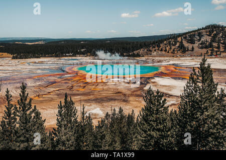 Grand Prismatic Spring framed by pine trees in Yellowstone National Park, Wyoming, USA Stock Photo