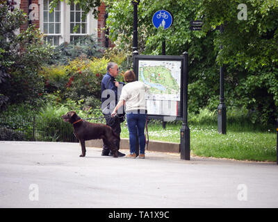 Middle aged couple with brown Labrador dog looking at a map of Hyde Park, London UK. Stock Photo