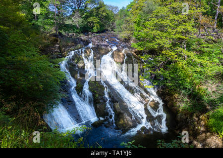 Swallow Falls Betws y Coed Conwy Wales May 14, 2019 The river Llugwy, as it drops over Swallow Falls Stock Photo