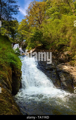 Swallow Falls Betws y Coed Conwy Wales May 14, 2019 The river Llugwy, as it drops over Swallow Falls Stock Photo