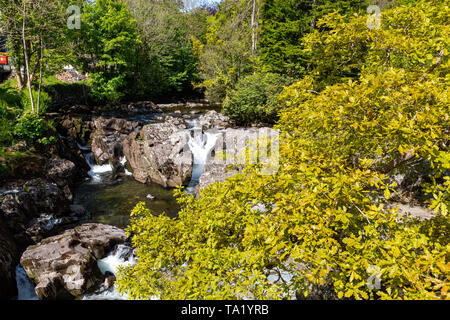 Betws y Coed Conwy Wales May 14, 2019 Small falls on the river Llugwy as it flows through the village Stock Photo