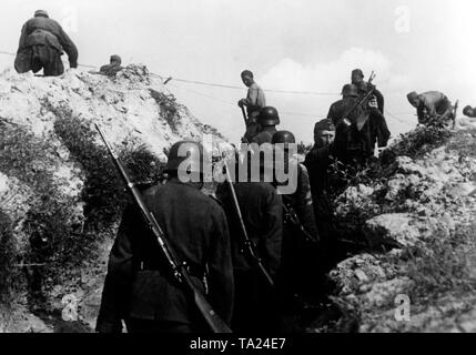 Soldiers carry ammunition through a fire trench on the Leningrad Front. Photo of the Propaganda Company (PK): war correspondent Nussbaumer. Stock Photo