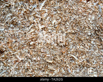 Macro photography of different textures of wood produced naturally by fungi marks, humidity, fire or by tools. Stock Photo