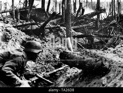 German soldier with a rifle grenade in WWII on the Eastern front, 1944 ...