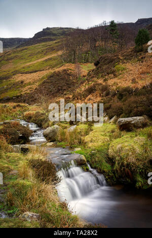 UK,Derbyshire,Peak District,Grindsbrook Clough Waterfalls and Kinder Scout Stock Photo