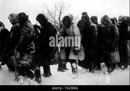 South of the city Vyazma Soviet prisoners of war are led away by German soldiers. (PK photo: war correspondent Geller). Stock Photo