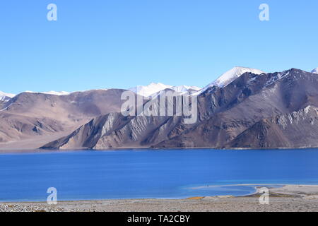 The clear blue sky made the lake totally blue and the both together looks great: A view from the Pangong Lake, Leh, India. Stock Photo