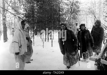 In a forest west of Moscow, German soldiers are capturing Russian enemies, Siberian mountain troops. (PK photo: war correspondent v. Hoermann). Stock Photo