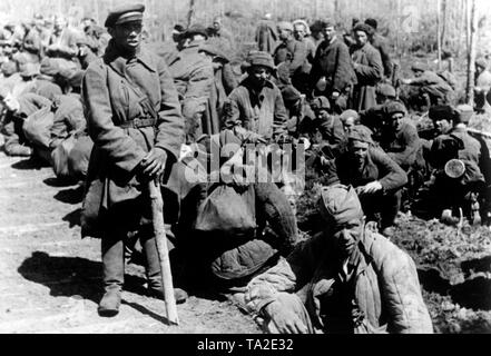 Soviet prisoners of war in a camp in the Northern section of the Eastern Front. They are located near the river Volkhov, after the failed Soviet spring offensive (Lybuban Offensive Operation). Photo of the Propaganda Company (PK): war correspondent Schuerer.
