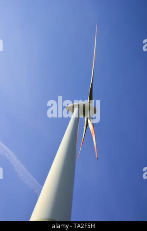 Wind turbine at a field near Magdeburg Stock Photo