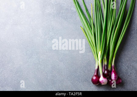 Red onion with fresh green sprouts on grey stone background. Top view. Copy space. Stock Photo