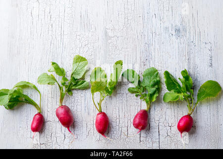 Radish on white cracked wooden background. Copy space. Top view. Stock Photo