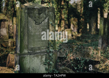 detail of broken jewish matzevah from the graveyard of city of Czestochowa in Poland Stock Photo