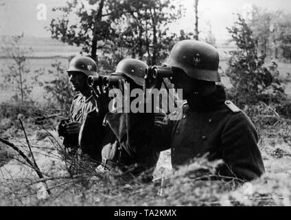 Officers of a German regiment command post observe the river Desna. It is a regiment of the Army Group Center, which was deployed in October 1941 at the double battle near Vyazma and Bryansk. Photo: war reporter Paul. Stock Photo