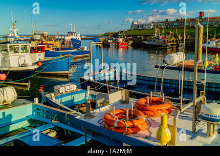 Boats in Seahouses harbour, Northumberland, UK. September 2018. Stock Photo