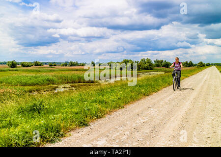 A tourist cycling through the nature park of Kopacki rit, where the confluence of the Danube and Drava form wetlands. Kopacevo, Croatia. May 2017. Stock Photo