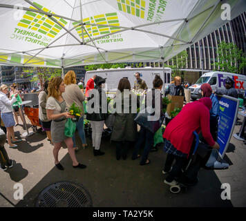 Hordes of plant lovers flock to the Garment District in New York for their plant-giveaway on Wednesday, May 8, 2019. The Garment District Alliance, the Business Improvement District (BID) for the neighborhood, pulls all their spring flowers, pansies, in anticipation of replanting summer flora, and gives aways the potted plants to the multitude of visitors and people that live and work in the area. (Â© Richard B. Levine) Stock Photo