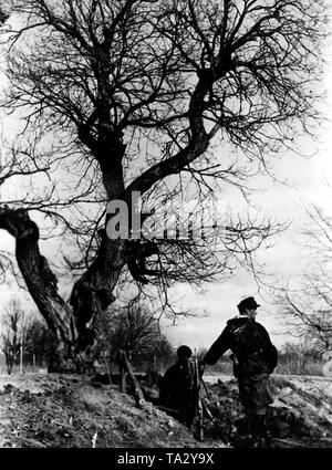Wehrmacht soldier during the retreat fights in France, 1944 Stock Photo ...