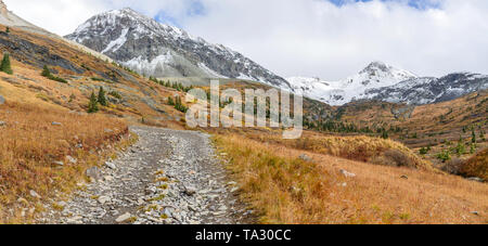 High Mountain Trail - A cloudy and stormy autumn day on Black Bear Pass Trail at Ingram Basin, near Telluride, Colorado, USA. Stock Photo