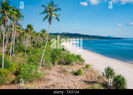 Amazing tropical beach with palm trees in Philippines