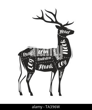 Deer meat cutting. Menu for restaurant or butcher shop. Vector Stock Vector