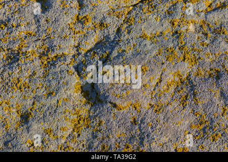 gray molded stone background Stock Photo