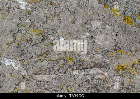gray molded stone background Stock Photo