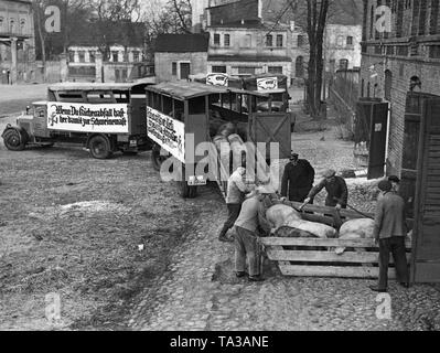 1100 pigs that were fattened by the Ernaehrungshilfswerk of the NS Volkswohlfahrt with kitchen waste in Berlin are delivered to the stockyard. Here pigs are loaded on trucks on a farm in Berlin-Britz. On the front truck, the slogan along with the emblem of the NSV: 'If you have kitchen waste, give it to us for pig fattening'. Stock Photo