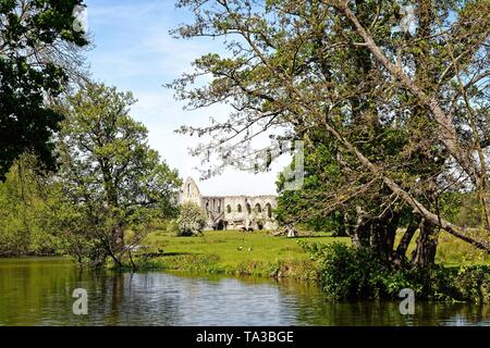 The ruins of Newark Priory, an Augustinian priory by the River Wey, now