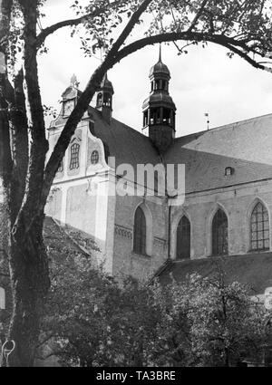 The photo shows the Oliwa Cathedral in Gdansk. It is dedicated to The Holy Trinity, Blessed Virgin Mary and St Bernard. The three-nave basilica was built at the end of the 12th century by the Cistercians and belonged to a monastery. In 1925, with the establishment of a diocese by Pope Paul VI, the church was raised to the dignity of a cathedral. Stock Photo