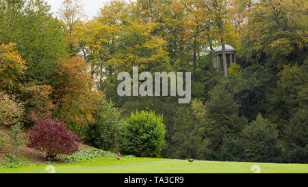 Folly in Trees, Fountains Abbey Stock Photo