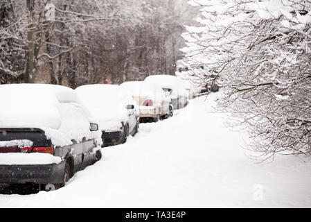 Car row on road side covered by thick snow layer with selective focus and snowy bush. Stock Photo