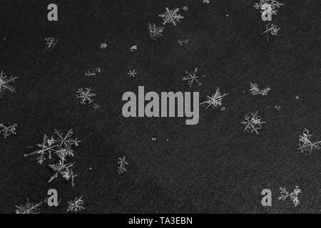 snowflakes with high magnification on dark gray background Stock Photo
