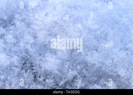 snow array with high magnification winter background. Stock Photo