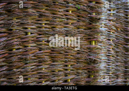 wicker willow flat outdoor surface background with selective focus Stock Photo