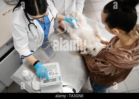 Vets and owner holding dog during x-ray examination Stock Photo