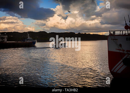 Fishing boats in the harbour at Killybegs, in County Donegal. It's the largest fishing port on the island of Ireland. Stock Photo