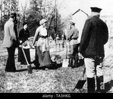 Tsar Nicholas II of Russia (2nd from the right) with his daughters Olga (center) and Tatiana(2nd from left) gardening in Tsarskoe Selo near St. Petersburg after their capture in the course of the February Revolution. Stock Photo