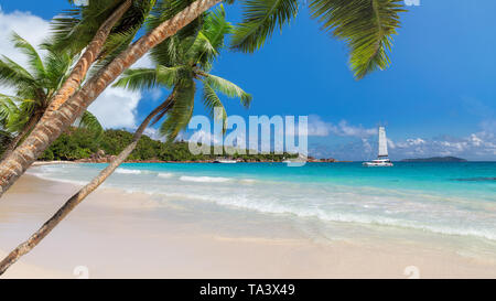 Sandy beach with coconut palms and a sailing boats in the turquoise sea Stock Photo