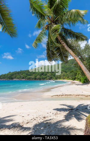 Sunny beach with coco palms and turquoise sea in paradise island. Stock Photo