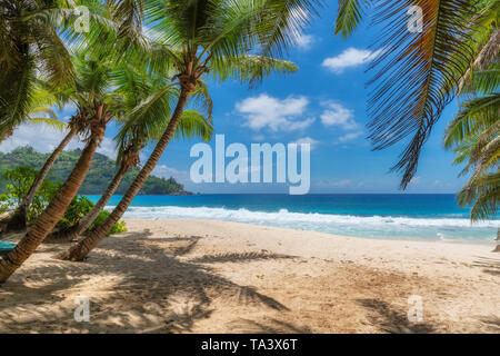 Coco palms and turquoise sea in paradise beach. Stock Photo