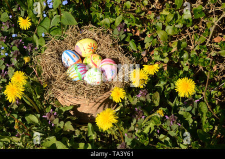 Nest with painted easter eggs surrounded with colorful flowers, dandelion and laminum Stock Photo