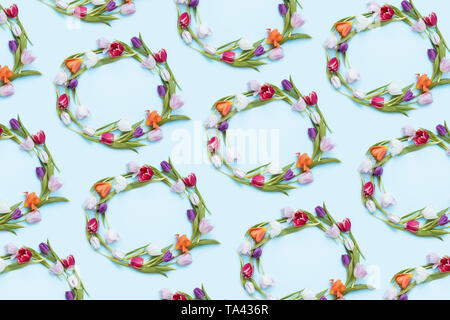 Colorful tulip wreaths on blue background Stock Photo