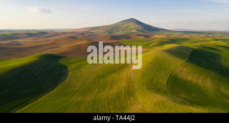 Steptoe Butte State Park is up there somewhere on top of the bluff surrounded by Palouse Country farmland Stock Photo