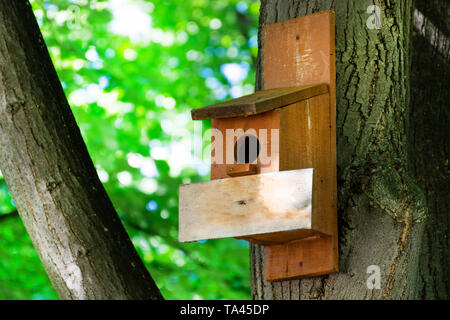 Birdhouse on a tree in forest park on spring day, hand wood shelter for birds to spend the winter. Wooden empty plank for text. Close up Stock Photo