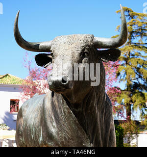 Ronda, Andalucia, Spain - March 16, 2019 : bronze statue of a fighting bull situated outside the historic bullring in Ronda, Spain Stock Photo