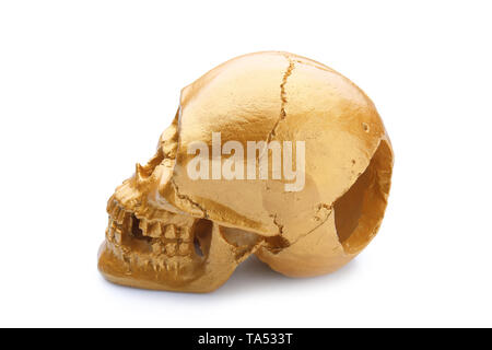 Golden human skull on white background Stock Photo