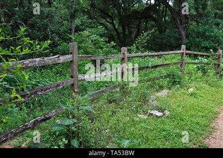 Rustic wooden split rail fence in lush foliage with trees in background Stock Photo