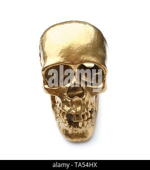 Golden human skull on white background Stock Photo
